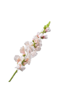 SILK-KA Bocca di leone crema/rosa | 81 cm