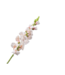 SILK-KA Löwenmäulchencreme/Rosa | 81 cm