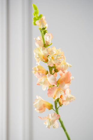 SILK-KA Tige de muflier couleur pêche | 81 cm