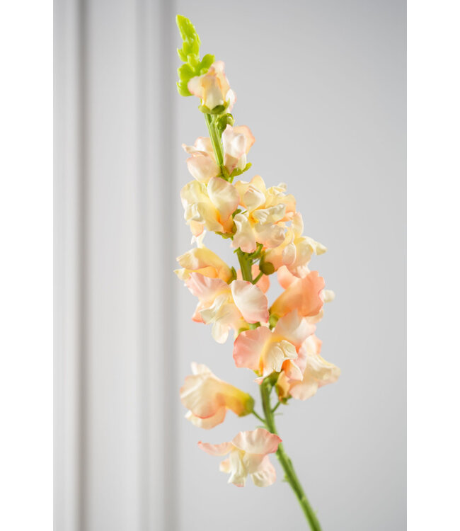 SILK-KA Leeuwebek Steel Perzik | 81 cm