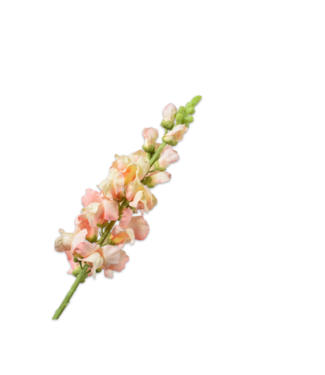 SILK-KA Snapdragon-stilk fersken | 81 cm