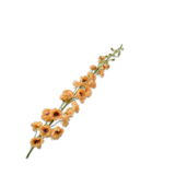 SILK-KA Delphinium Steel Oranje | 127 cm