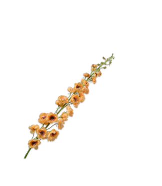 SILK-KA Delphinium Steel Oranje | 127 cm