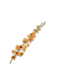 SILK-KA Delphinium stål oransje | 127 cm