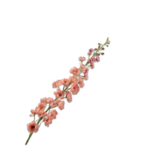 SILK-KA Delphinium Steel Pfirsich | 127 cm