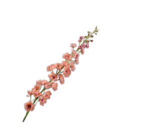 SILK-KA Delphinium Steel Pfirsich | 127 cm