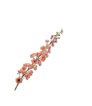 SILK-KA Delphinium Steel Pfirsich | 127 cm