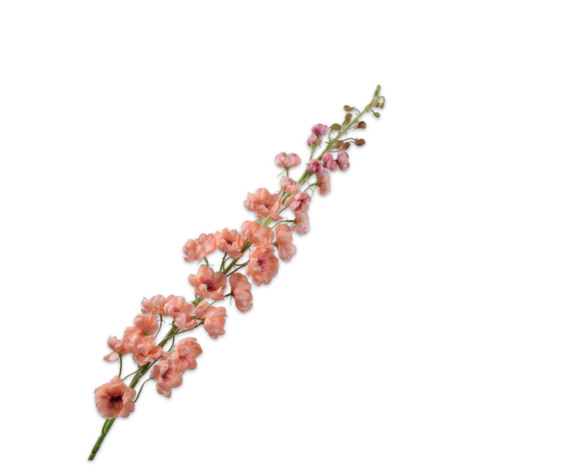 SILK-KA Delphinium Steel Pfirsich | 127 cm