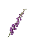 SILK-KA Delphinium Steel Purple | 127 cm