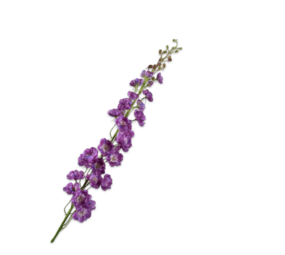 SILK-KA Delphinium Steel Purple | 127 cm