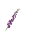 SILK-KA Delphinium Steel Paars | 127 cm