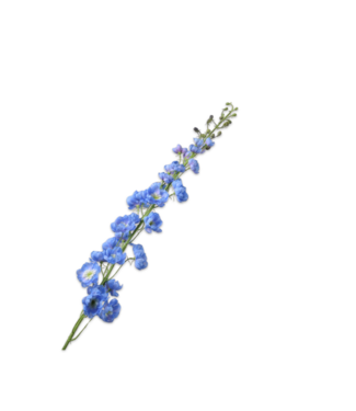 SILK-KA Delphinium blu acciaio | 127 cm