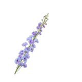SILK-KA Tige de Delphinium Lavande | 127 cm