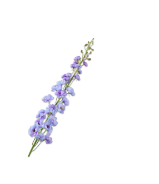 SILK-KA Lavanda con stelo Delphinium | 127 cm