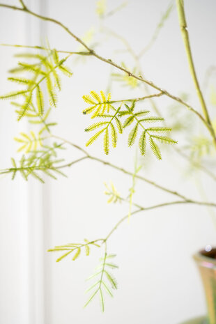 SILK-KA Mimosa Branch Green | 96 cm