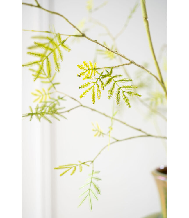 SILK-KA Mimosa-gren grønn | 96 cm