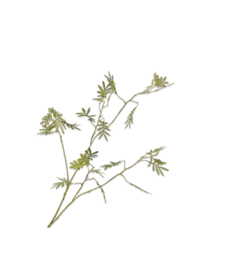 SILK-KA Rama de mimosa verde | 96 cm