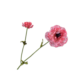 SILK-KA Rama de Ranúnculo Rosa RT | 63 cm
