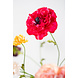 SILK-KA Ranunculus Branch Beauty RT | 63 cm