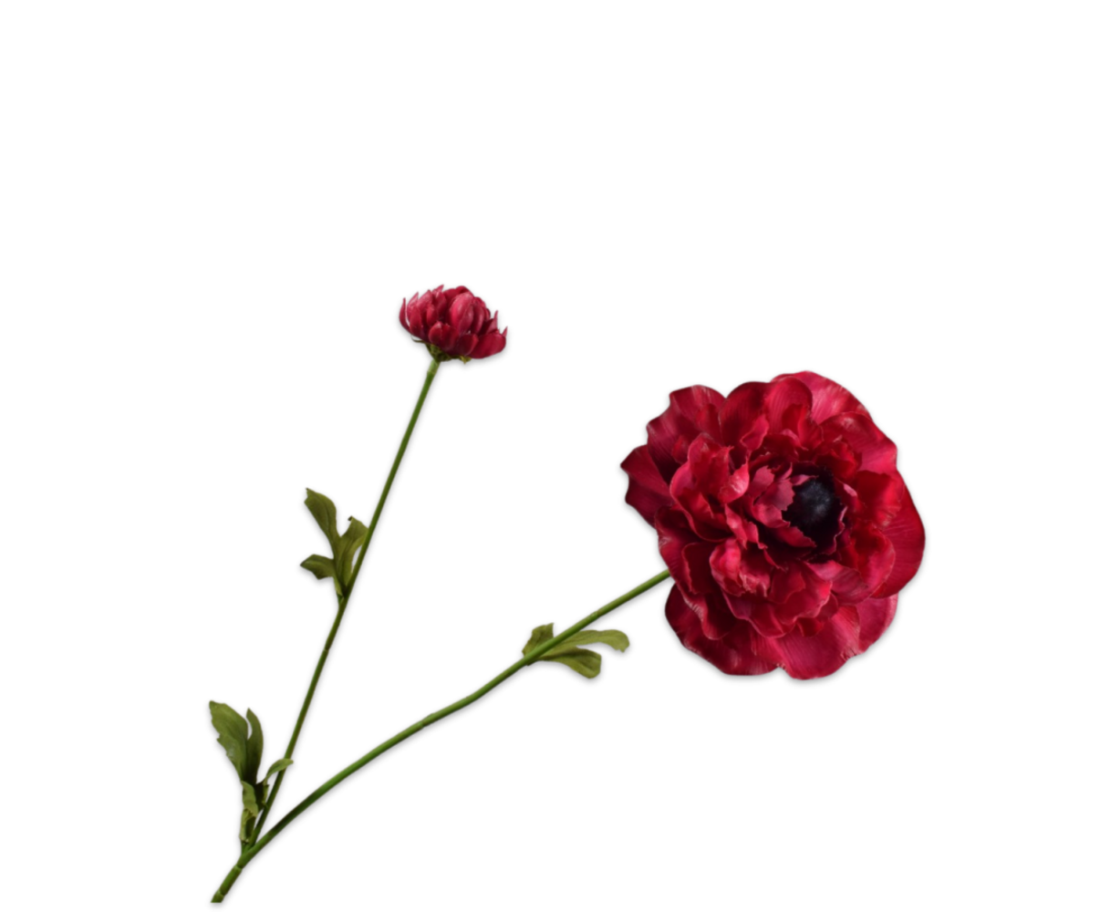 SILK-KA Ranonkel Tak Beauty RT | 63 cm