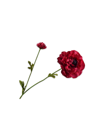 SILK-KA Ranunculus Branch Beauty RT | 63 cm