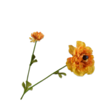 SILK-KA Rama de Ranúnculo Amarillo RT | 63 cm