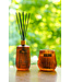 ONNO Collection ONNO Geurkaars Eclectic | Ginger Fig