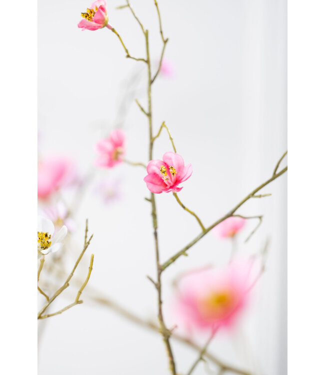 SILK-KA Belleza de la rama en flor | 107 cm