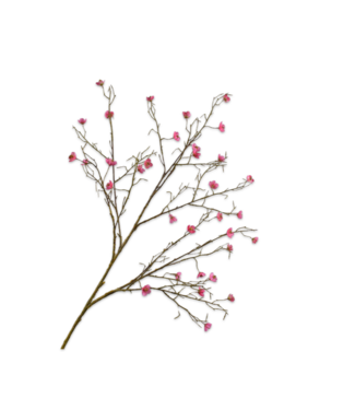 SILK-KA Bloesem Tak Beauty | 107 cm