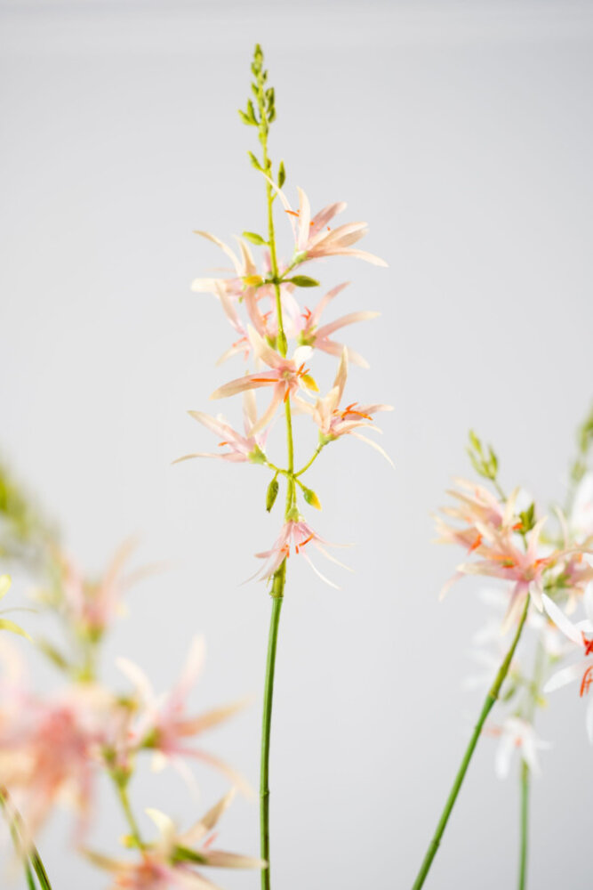 SILK-KA Crocosmia-Zweig, rosa/grün | 117 cm