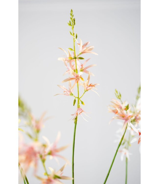 SILK-KA Crocosmia Tak Roze/Groen | 117 cm