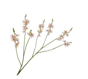 SILK-KA Crocosmia Branch Rosa/Verde | 117 cm