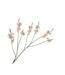 SILK-KA Crocosmia Tak Roze/Groen | 117 cm