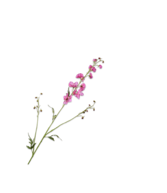 SILK-KA Branche de delphinium Beauté | 101 cm