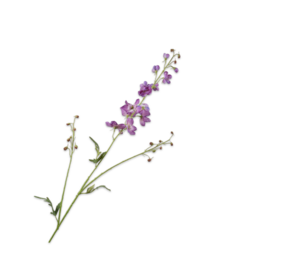 SILK-KA Ramo di Delphinium Lavanda | 101 cm