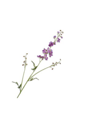SILK-KA Delphinium Tak Lavendel | 101 cm