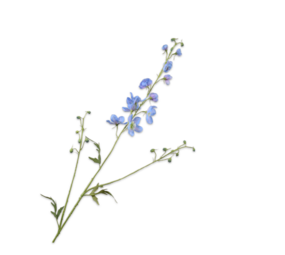 SILK-KA Delphinium Tak Blauw | 101 cm