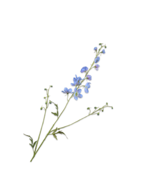 SILK-KA Delphinium Branch Blue | 101 cm