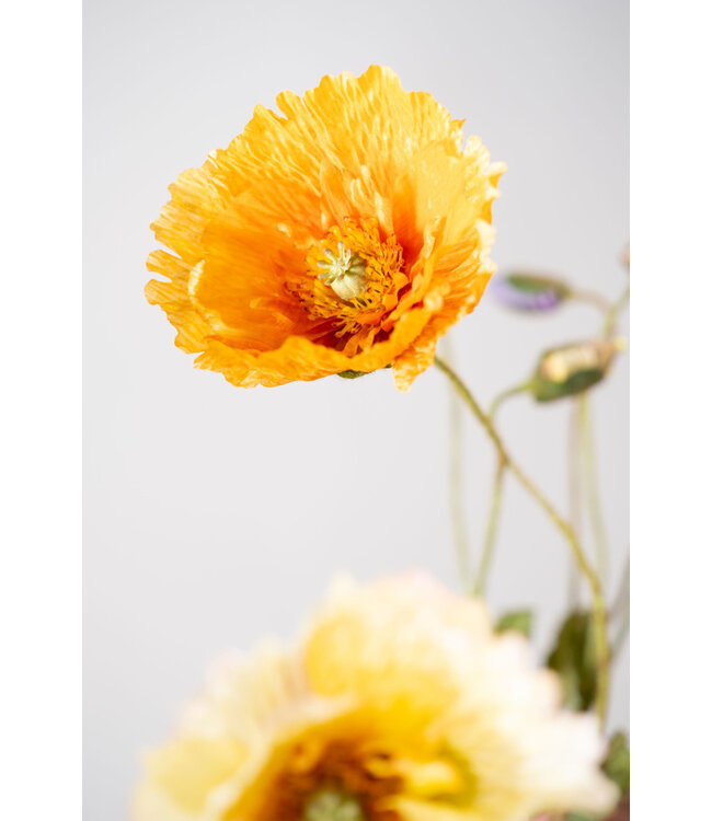 SILK-KA Klaproos Tak Oranje | 74 cm