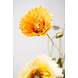 SILK-KA Branche de coquelicot orange | 74 cm