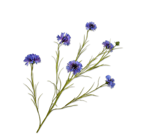 SILK-KA Ramo di fiordaliso viola | 92 cm