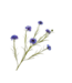 SILK-KA Ramo di fiordaliso viola | 92 cm
