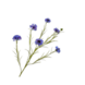 SILK-KA Cornflower Branch Purple | 92 cm