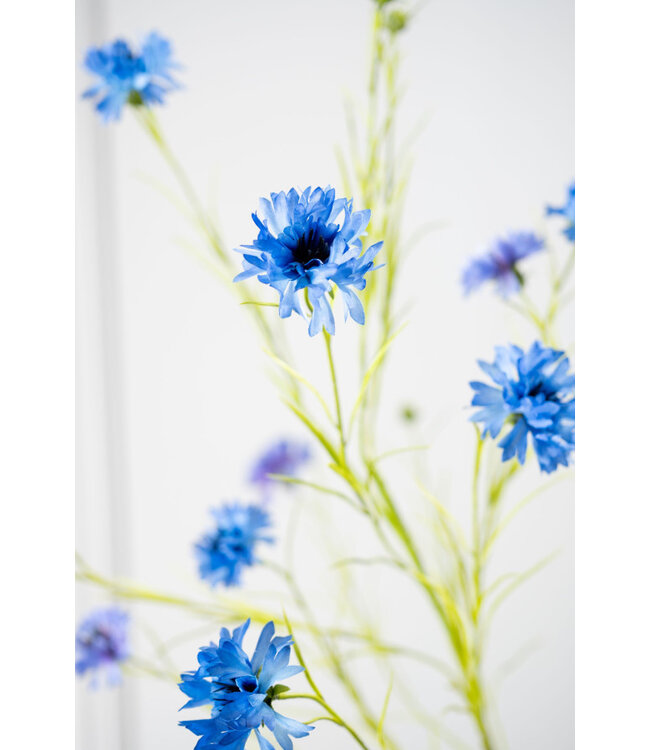 SILK-KA Blå kornblomstgren | 92 cm