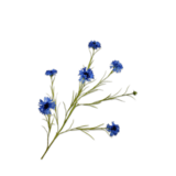 SILK-KA Ramo di fiordaliso blu | 92 cm