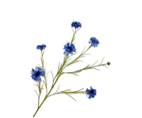 SILK-KA Blå kornblomstgren | 92 cm