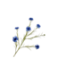 SILK-KA Ramo di fiordaliso blu | 92 cm