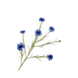 SILK-KA Korenbloem Tak Blauw | 92 cm