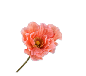 SILK-KA Rama de amapola salmón | 76 cm