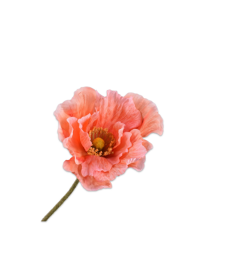 SILK-KA Poppy Branch Salmon | 76 cm